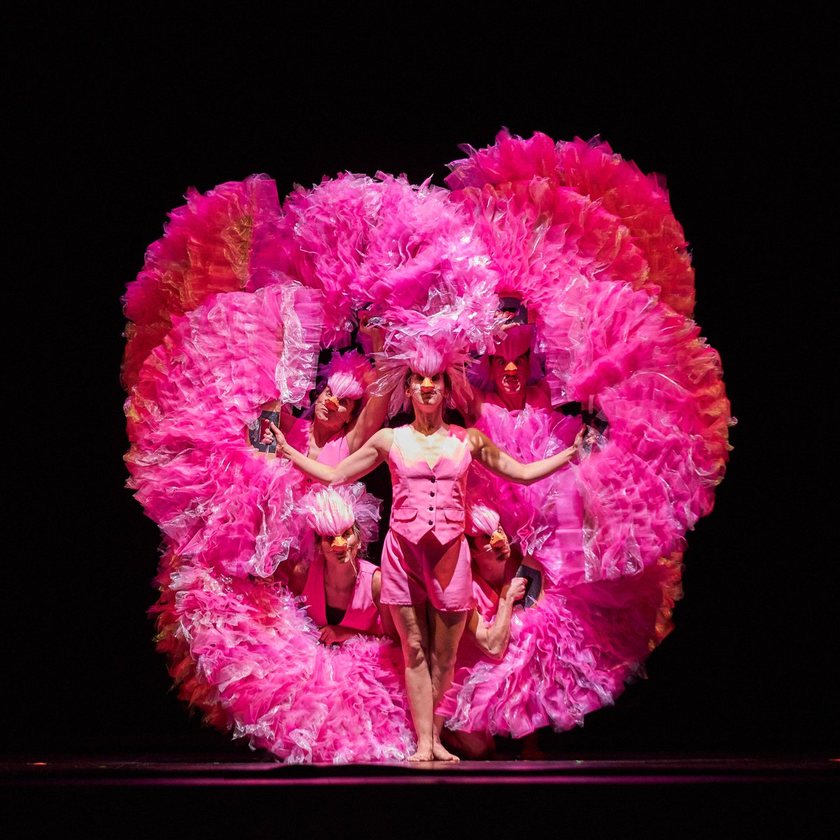 Tlallavemaestra's tweet photo. Amigxs hoy estrenamos El Carnaval de los Animales 🦚 en el Teatro Cervantes de Valdivia junto a la Orquesta De Camara de Valdivia. 

Gracias por agotar todas las entradas para las dos funciones!! 

@OCVorquesta https://t.co/9uR6tybh9s