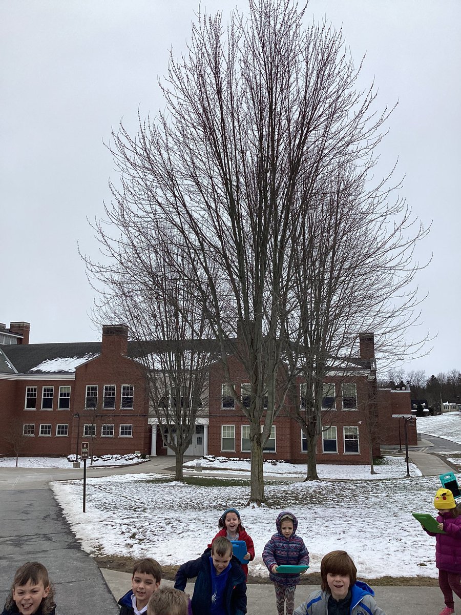 kloss_class's tweet photo. In the Fall on Fridays we had a tree that we would visit, take a picture of, and write a sentence about. We revisited the tree today to write about what we now see. https://t.co/tSUMUwyRvY
