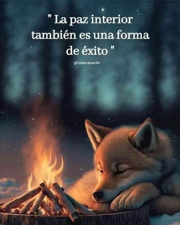 Daniele__Santoy's tweet photo. 🤍🤍🤍

...

. https://t.co/WrHFQzSs0x
