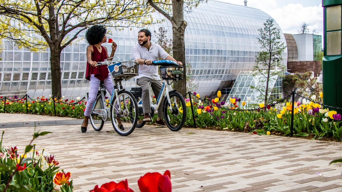 🌷 Witness the beauty of spring in full bloom at @MyriadGardens Tulip Fest on March 30 and 31. 💐 After a stroll through 50,000 tulips, hop on the streetcar to go grab lunch or pedal your way through the city with a @Spokiesokc bike rental. 👒📸