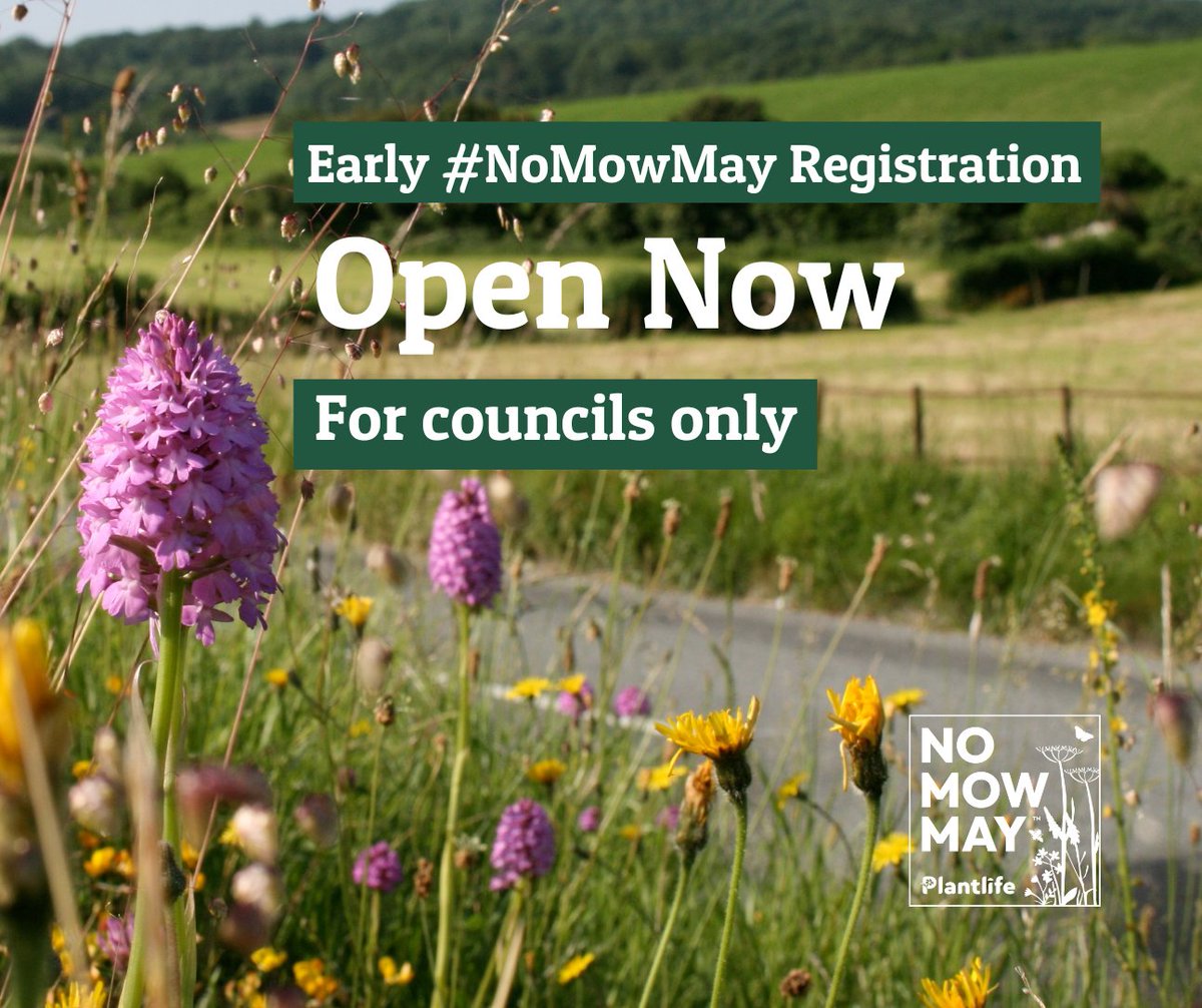 Calling all councils 📢

🌱This #NoMowMay we want to help you celebrate your local natural heritage and its role as a stepping stone to a year-long approach to managing verges and green spaces for nature.

🔗plantlife.org.uk/learning-resou…

1/3🧵