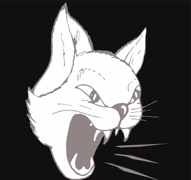 BarkingMouser's tweet photo. The purrfect contrast!  Barking Mouser #41 stands out with its sleek design &amp; black background.  This isn't just a pretty kitty, it unlocks VIP access to ALL future BM Collection drops!   #NFTCommunity #opensea #BMCollection #ShadowMouser (#41) https://t.co/XmdzwKvkI2