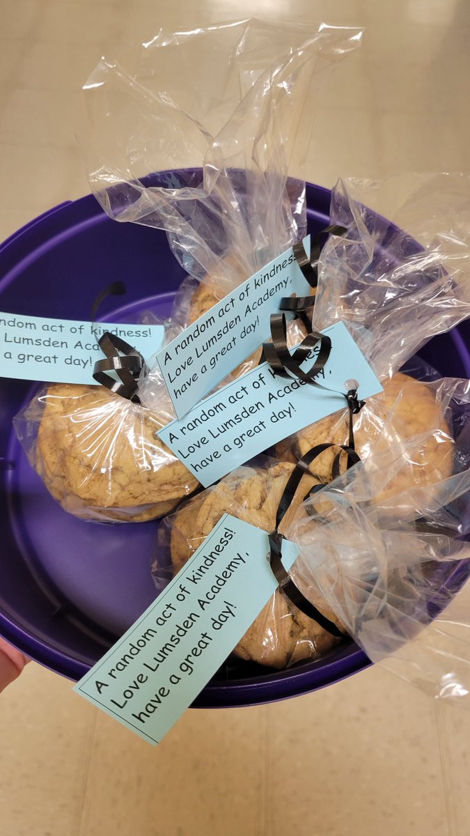 HuxterClass's tweet photo. Building global citizens and making community connections...the grade 7/8 class at  Lumsden Academy baked chocolate chip cookies and delivered them to 10 seniors in the communities ilof Deadmans Bay, Cape Freels and Lumsden. @NLTeachersAssoc #NLEduWeek2024  #PlantingPositivityNL https://t.co/eQvN3uHvJn