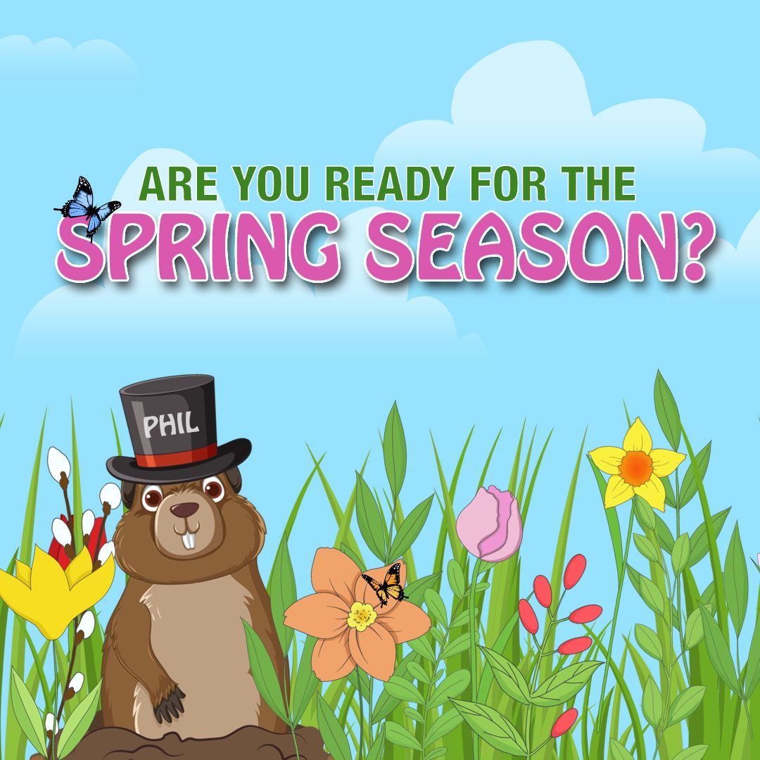 SoftWashSystems's tweet photo. The Spring Season is here! Are your home ready for this colorful season? Let us help you with the Spring Cleaning of the exterior of your home.

Call us today!
855-763-8669

#spring #sprinseason #roofcleaning #exteriorcleaning #softwashing #softwash https://t.co/DidYgAKkdQ