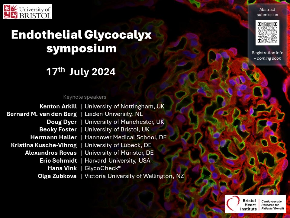 Bristol Renal (@bristolrenal) on Twitter photo Please join us at the Endothelial Glycocalyx symposium on 17th July 2024 (just after the #BMVBS24meeting 15-16th July that we're also organizing!). Submit your abstract at app.oxfordabstracts.com/stages/28606/s…
#glycocalyx #endothelium #symposium <a href="/BHIBristol/">Bristol Heart Institute</a> Please join us at the Endothelial Glycocalyx symposium on 17th July 2024 (just after the #BMVBS24meeting 15-16th July that we're also organizing!). Submit your abstract at app.oxfordabstracts.com/stages/28606/s…
#glycocalyx #endothelium #symposium <a href="/BHIBristol/">Bristol Heart Institute</a>