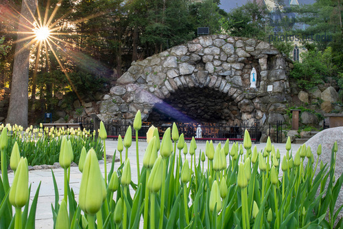 As Spring is descending upon South Bend, consider submitting a Grotto prayer request. Our team at FaithND would be honored to bring your prayer request to Our Lady. Submit request HERE faith.nd.edu/s/1210/faith/i…