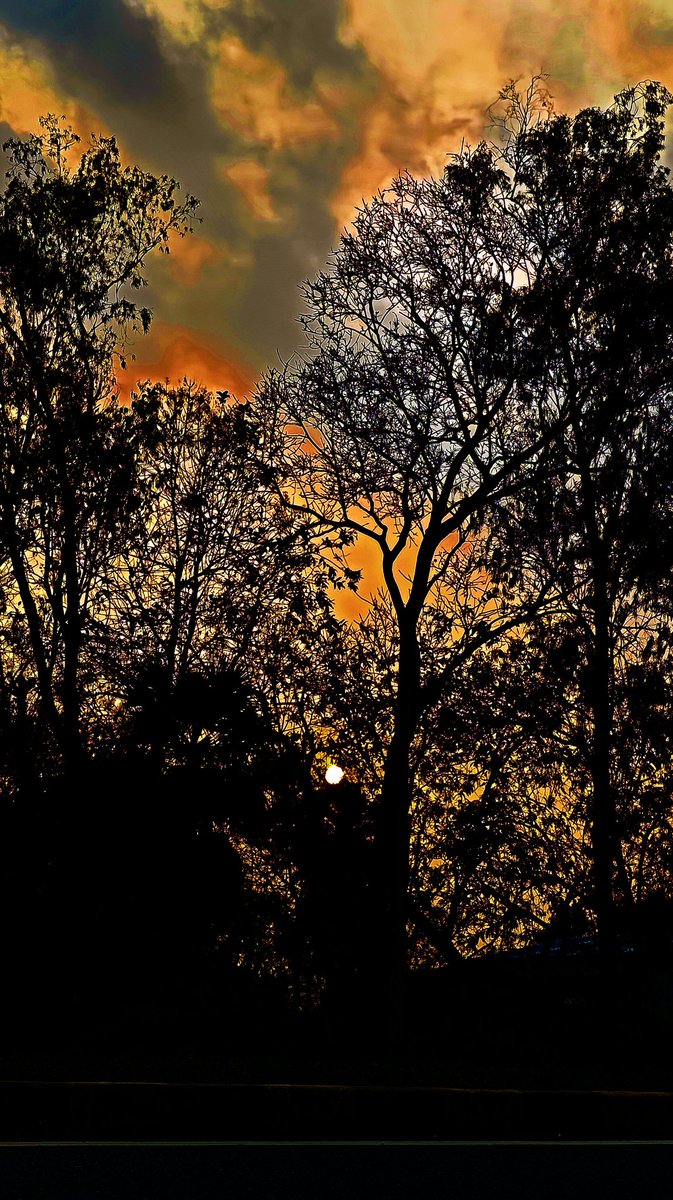 manasbehera07's tweet photo. Today my clicks...(22/03/2024)
Location: #NH_18.
AUTO WASH POINT.
#Nature_is_amazing (Mayurbhanj, Odisha)
#Sunset_Sky.
Please give compliments for our Nature... https://t.co/GU6AY8MrNs