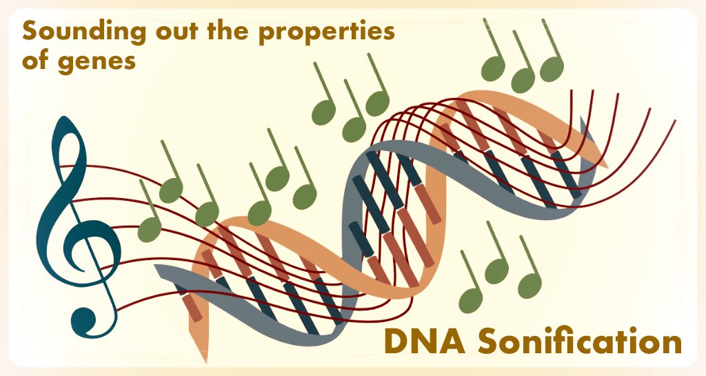DNA Sonification refers to the use of audio to convey the information content of a DNA sequence. Audio is created using the rules of gene expression and codons are played as musical notes. dnasonification.org #dnasonification