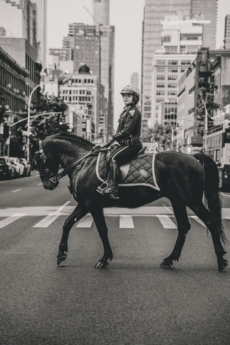 As we continue to celebrate Women's History Month, we would like to recognize Police Officer Olivieri of the Mounted Unit. Jessica grew up riding horses, and has brought her equestrian passion to the NYPD Mounted Unit. You can find her & Gomez patrolling in Times Square🐎