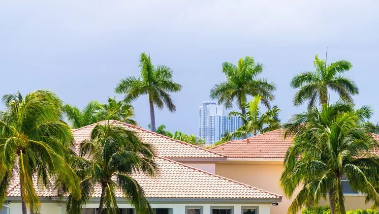 witzshared's tweet photo. Florida #composters look to grow #operations despite regulatory barriers https://t.co/0lJEbk7JGF https://t.co/6usr9SuhY8
