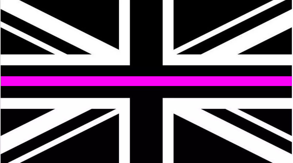 Shame All Bad Mad Drivers tweet media