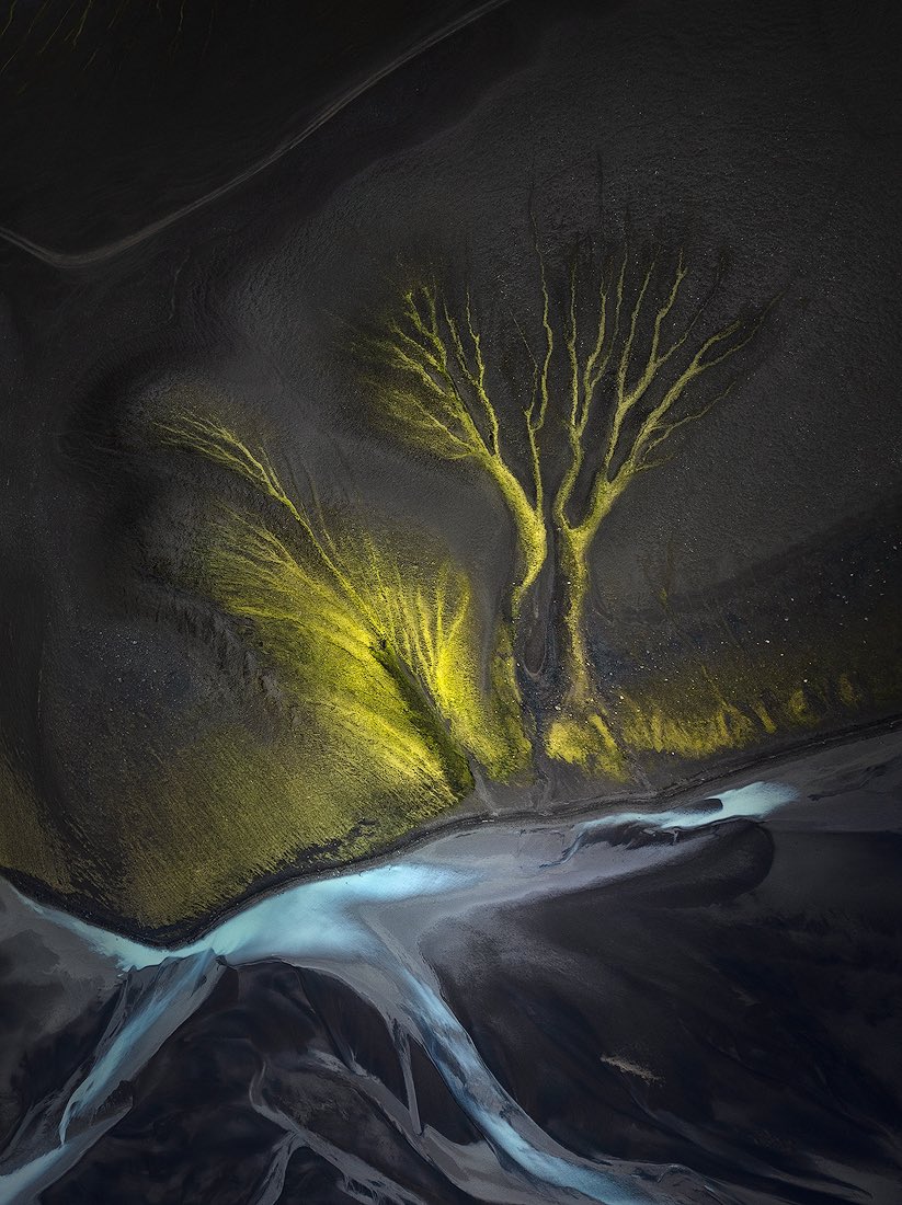 Isabella Tabacchi tweet media