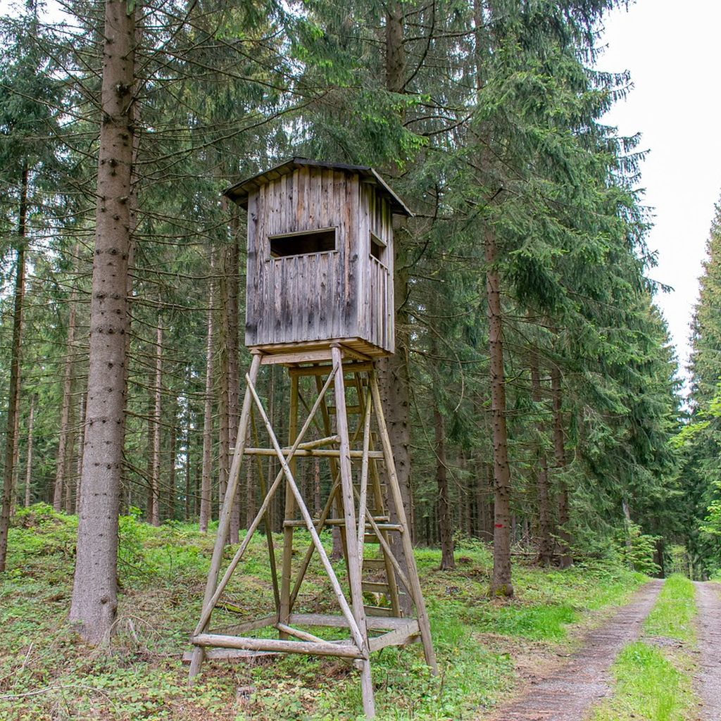 natuerlichjagd's tweet image. Akute #Lebensgefahr: Im thüringischen Meiningen „präparierten“ mutmaßlich #Jagdgegner einen #Hochsitz durch Ansägen aller tragenden Teile!
natuerlich-jagd.de/news/bewusst-v…