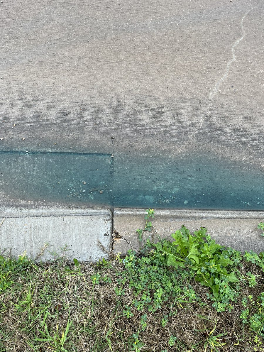 heyitskk's tweet photo. There’s an epidemic in my neighborhood!! People are getting their yard sprayed with green fertilizer. It’s ugly but also can’t be good for the environment? Is this a thing anywhere else? https://t.co/y3dXflWpAg
