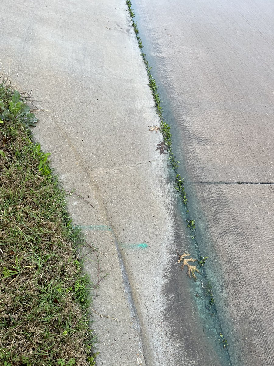 heyitskk's tweet photo. There’s an epidemic in my neighborhood!! People are getting their yard sprayed with green fertilizer. It’s ugly but also can’t be good for the environment? Is this a thing anywhere else? https://t.co/y3dXflWpAg