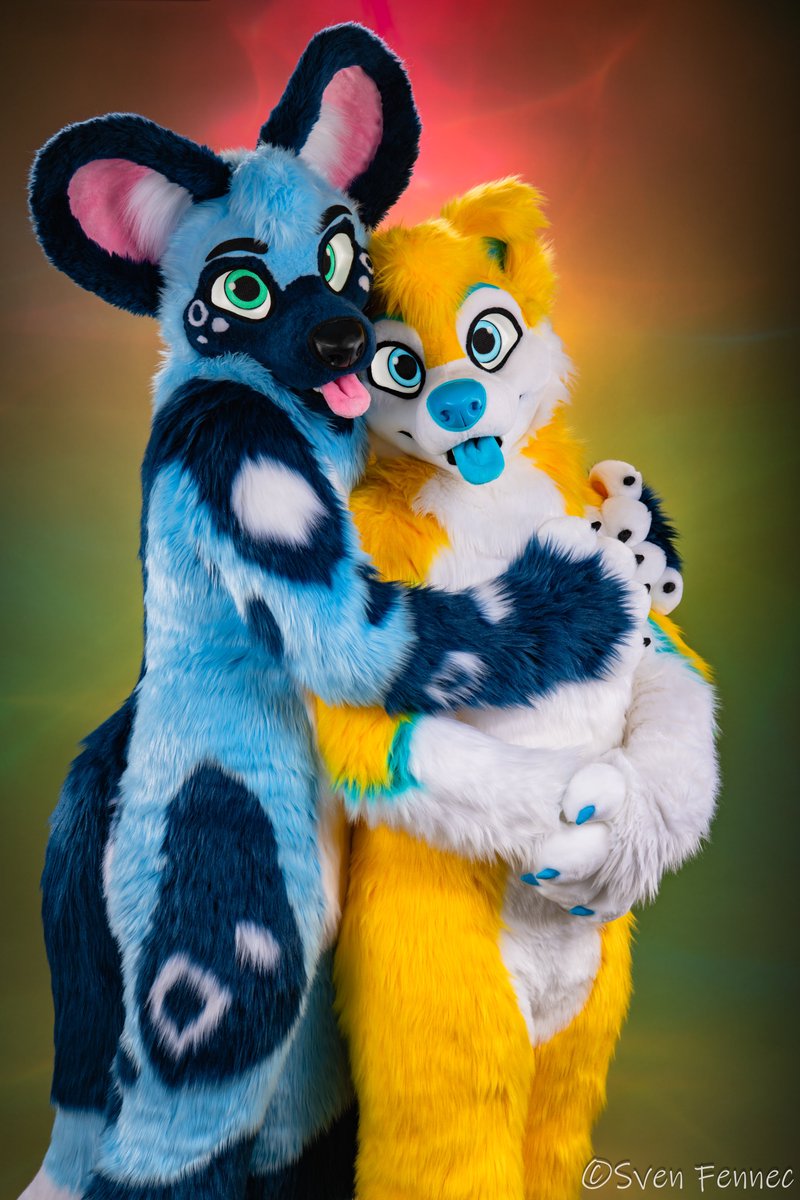 It’s colder today than it has been in weeks, but at least I have this husky to keep me warm! 📸: @SvenFennec 🪡: @AlphaDogsStudio