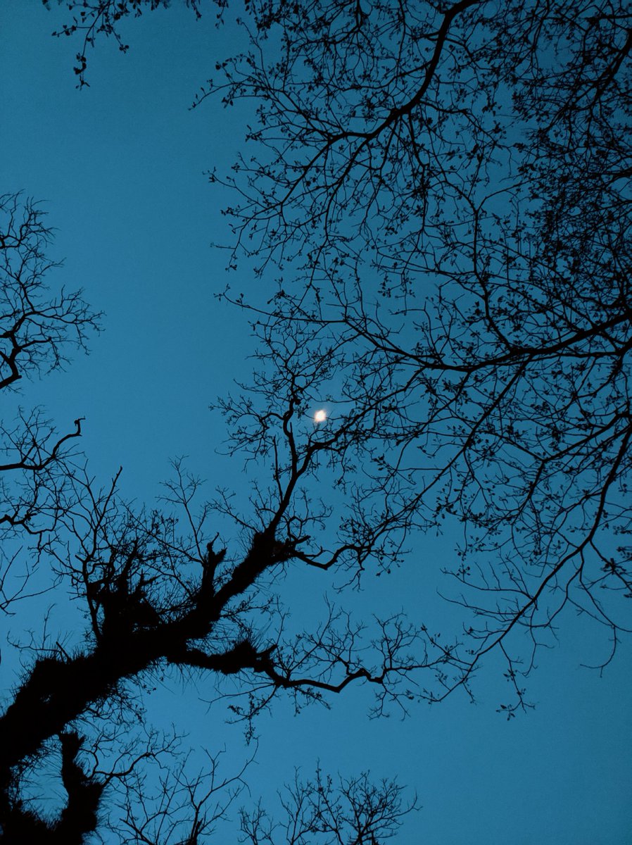 ithefelizer's tweet image. All Photographers ✨
Show Me Your Gorgeous Blue Shots 🌌

Re-Posting Favorites 🔁

Shot On Primo RX8 Mini Powered By @Snapdragon . #ShotOnSnapdragon .@Snapdragon_UK