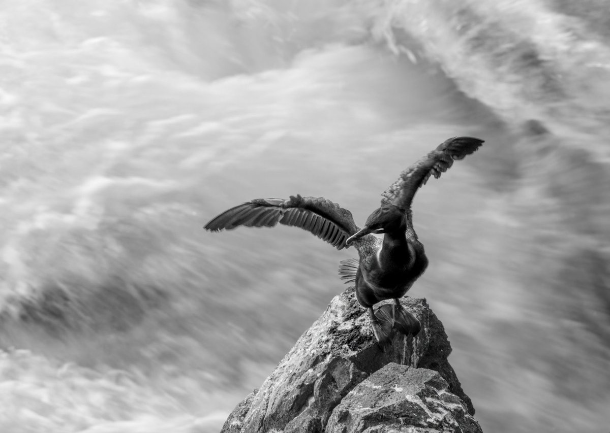 PunkWildlife's tweet photo. @Lightroom This involved hanging over a cliff face with no one else around for miles https://t.co/imFuHgXVJH