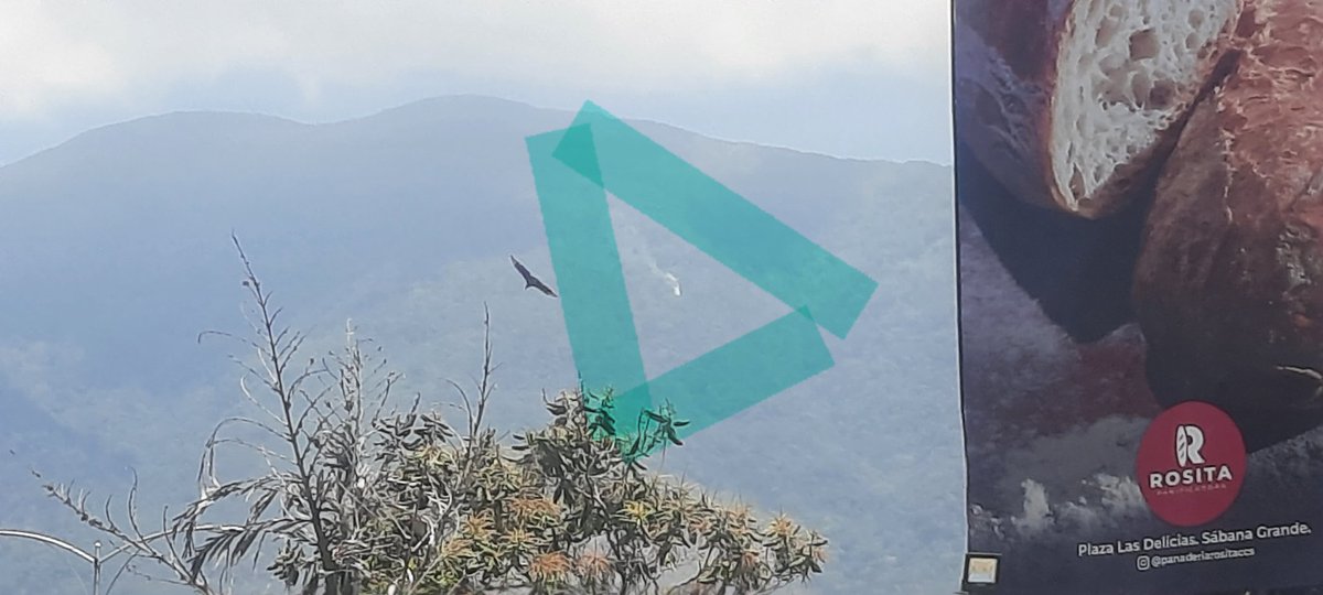 gaboapinto's tweet photo. Pareciera que acaba de iniciar. Incendio 😭en el #Avila a la altura de #Altamira. La foto es desde #LasMercedes #CCS 23/03/2024 12:20m @MaquinaDelAire @la_patilla @FMCENTER @CATERINAV @ShirleyVarnagy https://t.co/fZoPPlUGdh