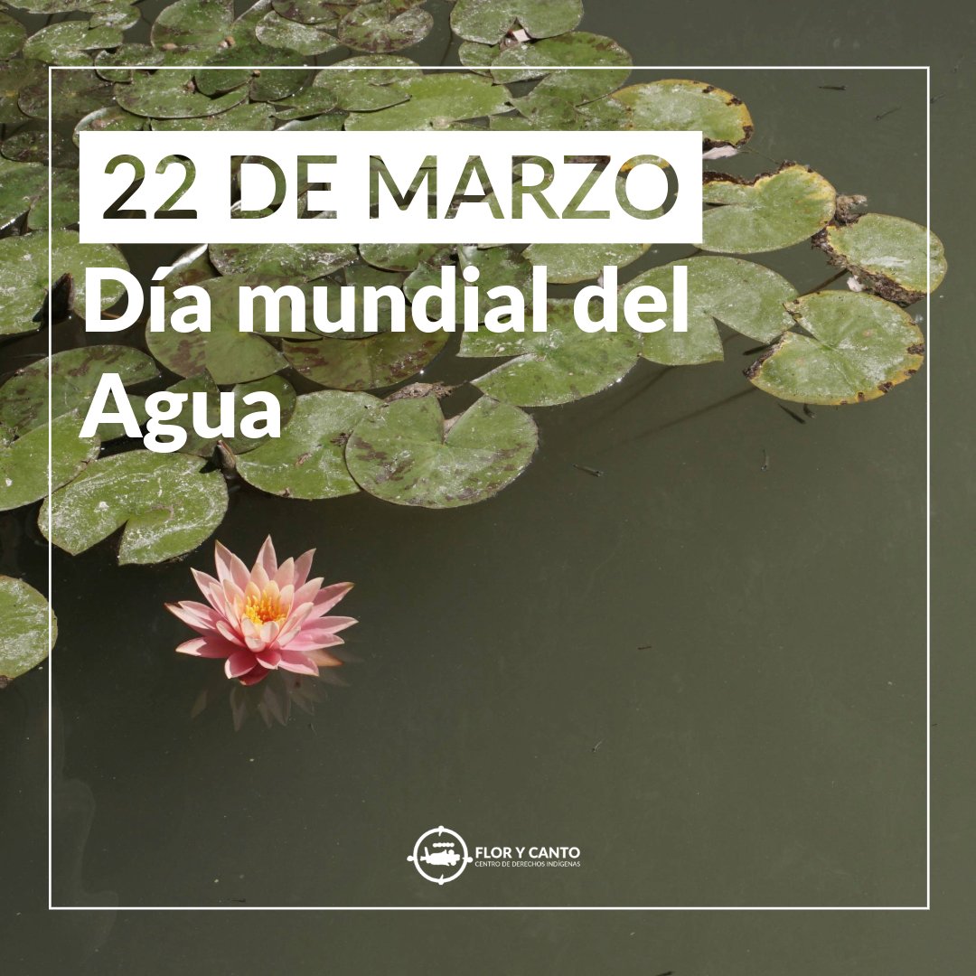 FloryCantoac's tweet photo. Nuestra relación con el agua es sagrada. Respetemos su ciclo, cuidemos su uso y defendamos su existencia. 💧 https://t.co/i7dznqiJTO