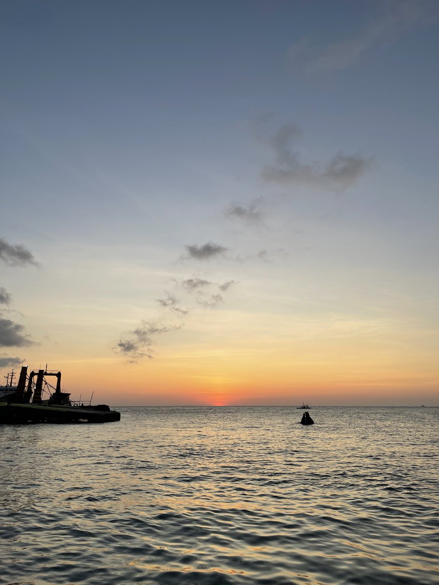 thisis6s's tweet photo. Visions of paradise https://t.co/hviKzgw8YH