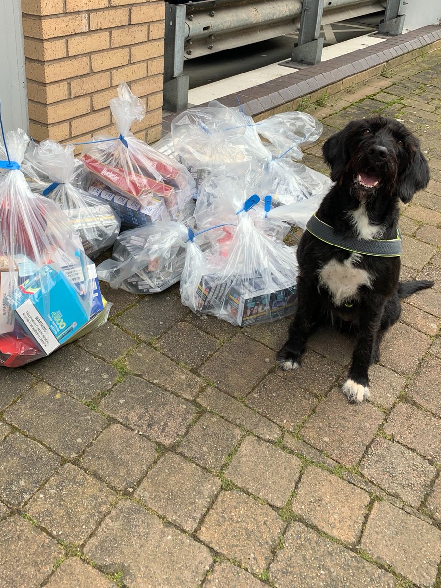 Our Trading Standards officers seized more than 20,000 cigarettes and 188 vapes as part of a crackdown on the illegal tobacco trade this week. You can find out more here: bit.ly/3x6jbBz @ConsumerDogs @socotss @PSOSPerthKin