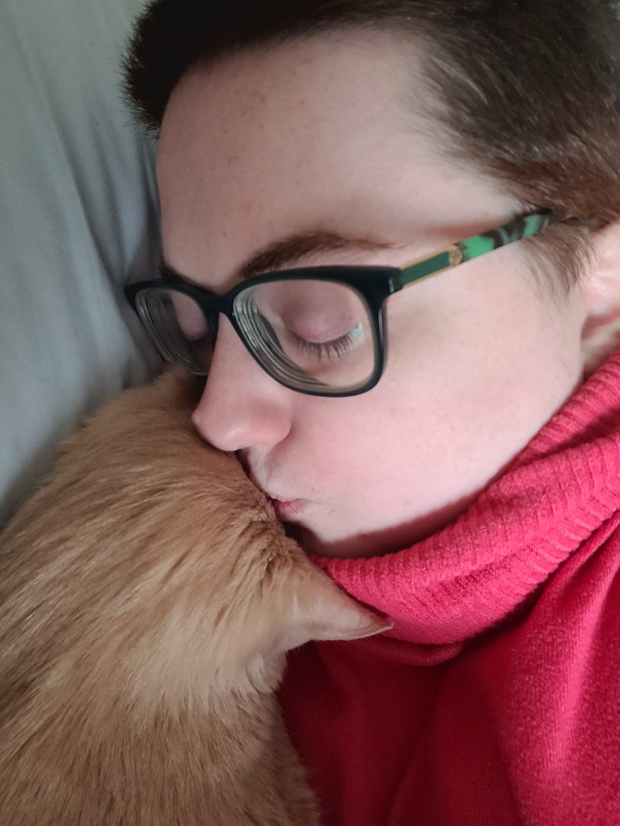 higgins_happy's tweet photo. Happy Gotcha Day Higgins! Here's to many more years with you! #CatsOfTwitter #CatsOnTwitter #CatsAreFamily #gotchaday #CatsLover #Cat https://t.co/suABOJXi0W