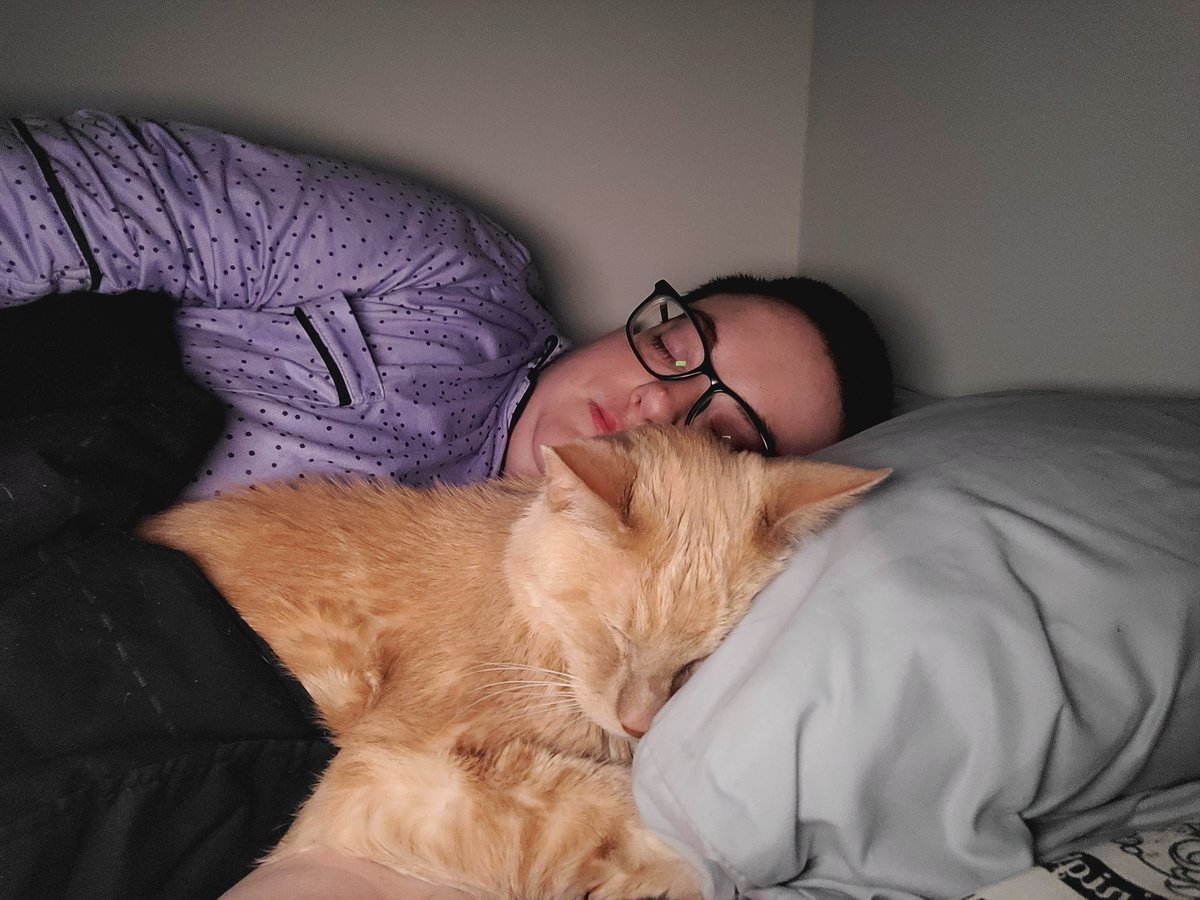higgins_happy's tweet photo. Happy Gotcha Day Higgins! Here's to many more years with you! #CatsOfTwitter #CatsOnTwitter #CatsAreFamily #gotchaday #CatsLover #Cat https://t.co/suABOJXi0W