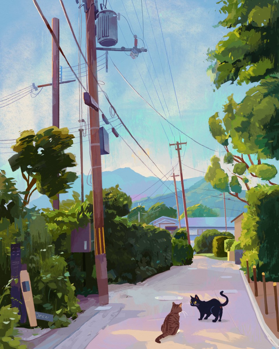 kyoto cats 🐱🍵