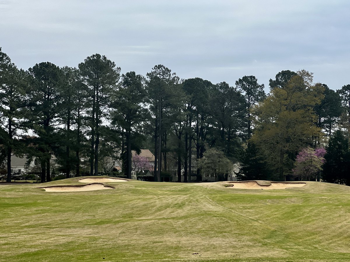 GolfAfhs's tweet photo. The AFHS golf team is playing in the Keith Hills Invitational at Campbell University this afternoon. Good weather (so far) and even better competition. https://t.co/QFNC7sqhF0