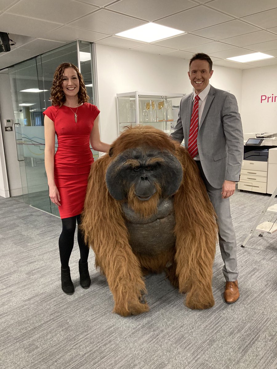 Sometimes a picture says more than words. @JournoChar and I hope to see you at 6 for @ITVCentral - news, sport and… a giant Orangutan.
