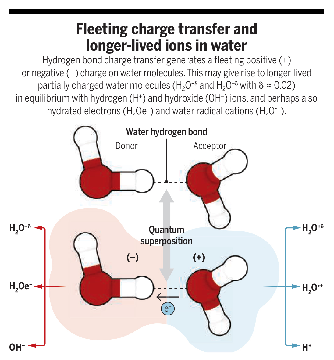 ScienceMagazine's tweet photo. Water is more than a collection of neutral H2O molecules.

Research has revealed pure water has an additional shimmering buzz from electron transfer between neighboring water molecules, which may have far-reaching chemical implications. https://t.co/u6YlL0Wzcv #WorldWaterDay https://t.co/7WJi7HeQCI