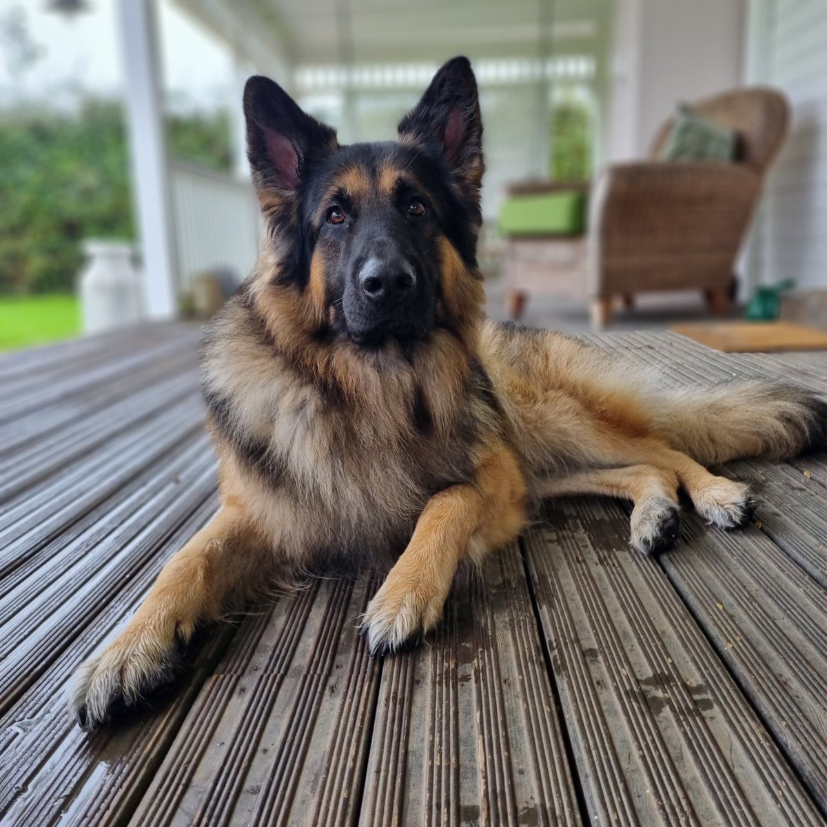 Happy birthday to this handsome man 😍 I can't believe he's 3 already 😢