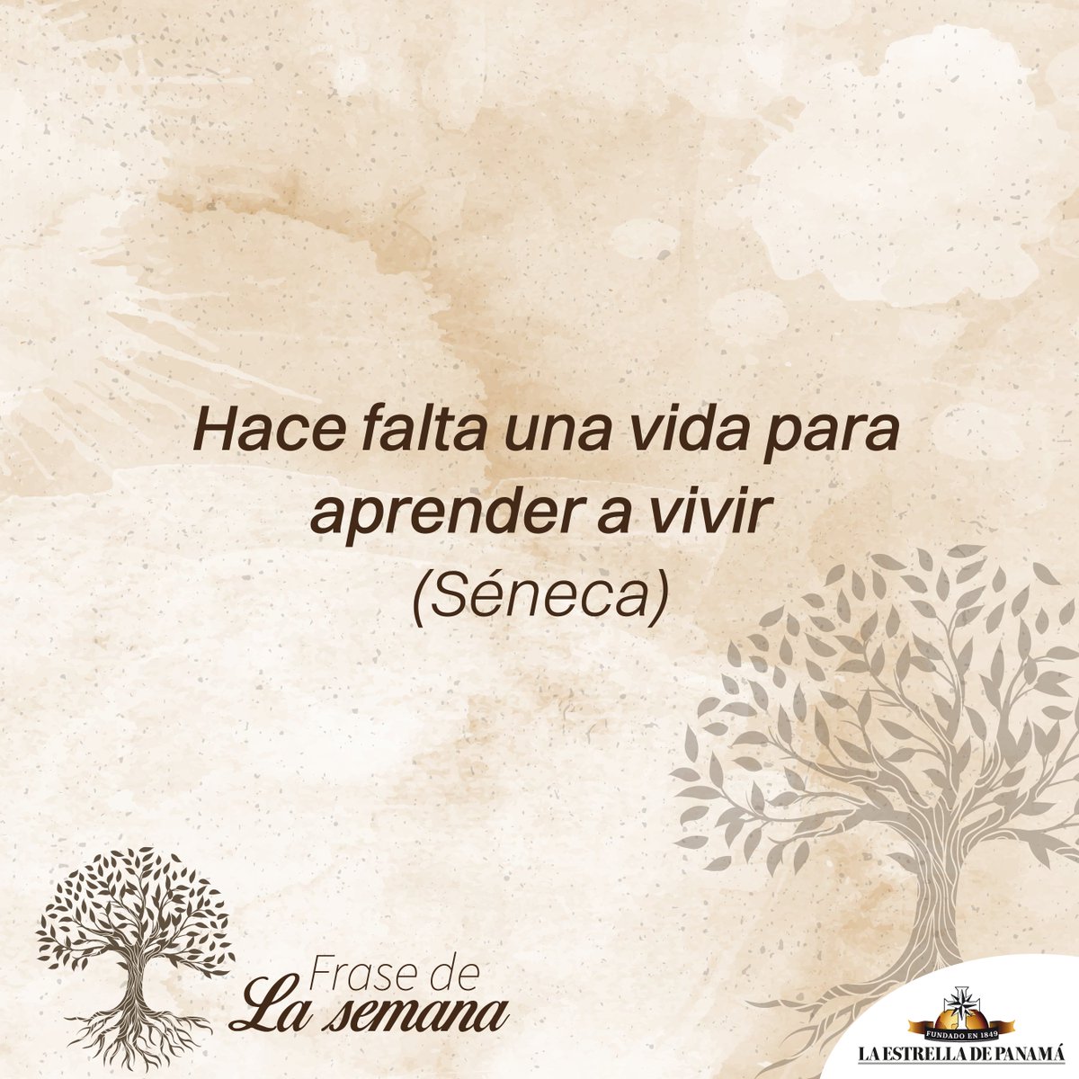 65 ideas de Feliz fin de semana | feliz fin de semana, saludos de buenos  dias, frases de buenos días, image size:1200x1200