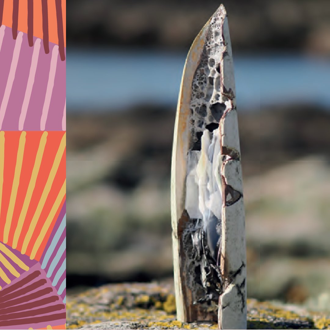 ONLY 1 DAY TO GO…

Enjoy a wonderful day out with your family and friends this Easter at #AngleseyOpenStudios2024 

Make sure you pay a visit to Jane Samuel at her studio in #Rhosneigr 

#AngleseyArtsWeeks #AngleseyArtsWeeks2024
#ArtWales #Artist #Anglesey