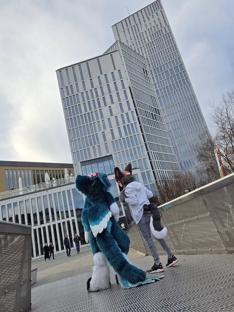 SkytheDerg's tweet image. Missing #NFC2024 
But happy #FursuitFriday 

🔌@dudisgit 
📷@Gogashi