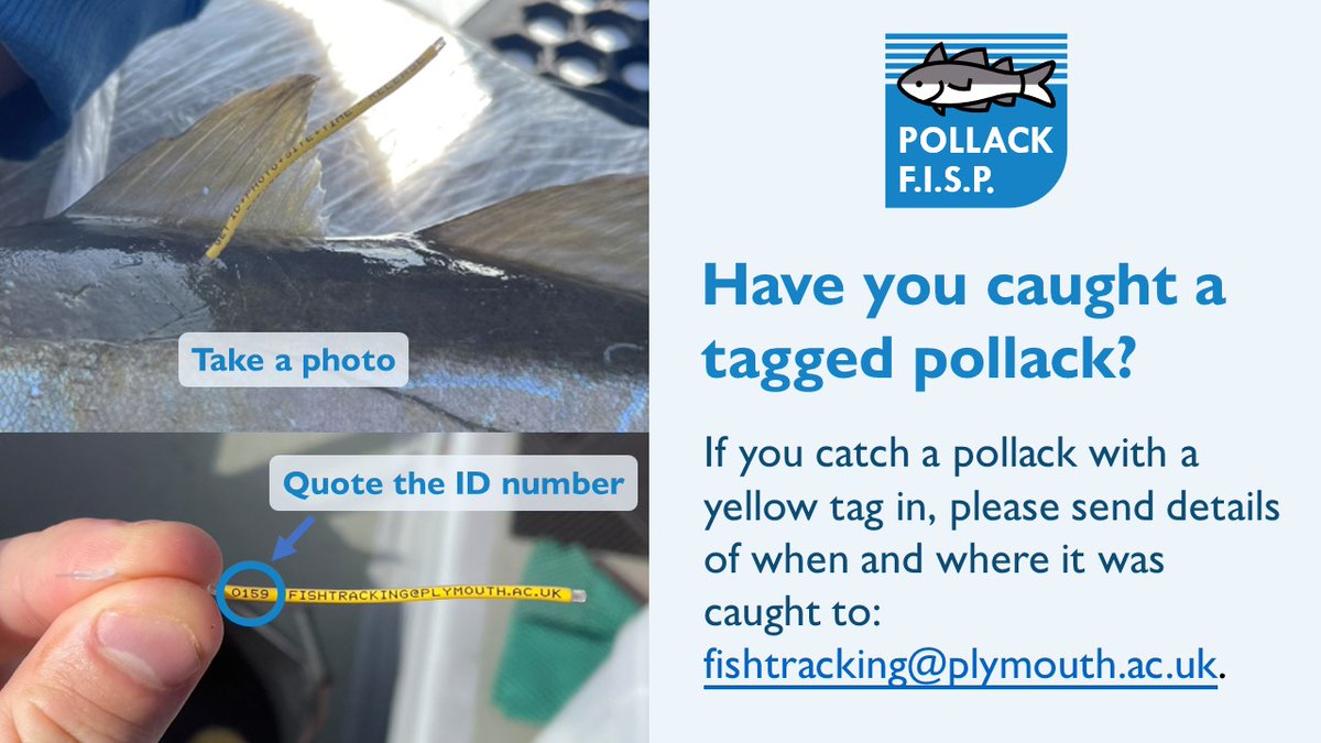 Angling Trust tweet media