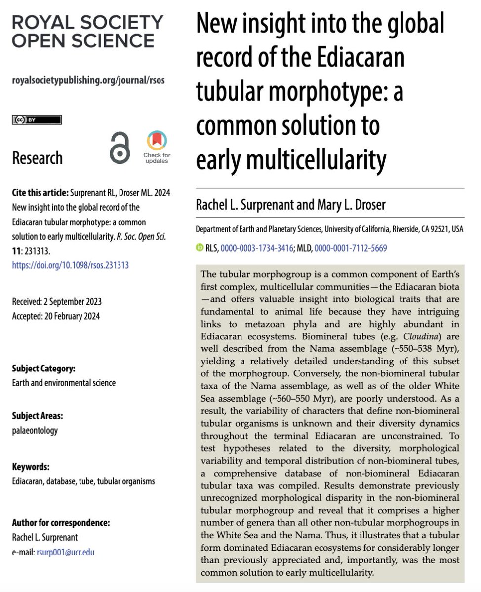 NEW PAPER ALERT🚨
Check out UCR EPSci graduate student Rachel Surprenant's and Professor of Geology Dr. Mary Droser's recent paper in Royal Society Open Science!
Link: royalsocietypublishing.org/doi/10.1098/rs…