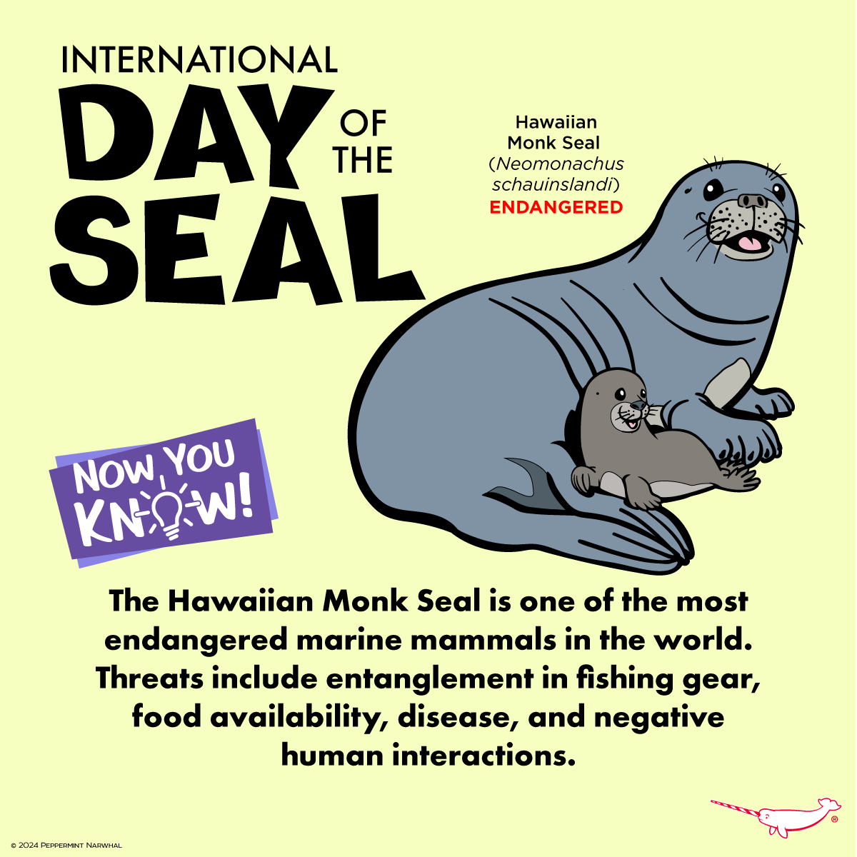 #InternationalDayOfTheSeal 
#NowYouKnow #HawaiianMonkSeal

Shop #PeppermintNarwhal: peppermintnarwhal.com

#MonkSeal #Seal