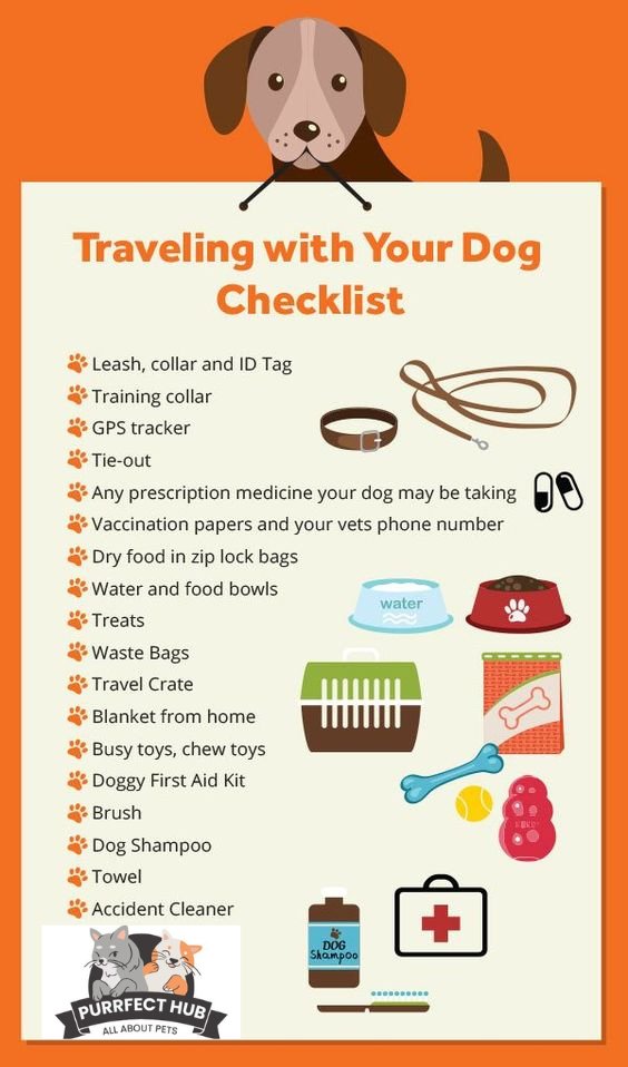 Purrfecthub's tweet photo. Ensuring Your Pup's Happiness and Health: A Dog Check List ๐พ๐ผ Whether you're a new dog parent or a seasoned pro, providing the best care for your furry friend is important. Check off these essentials to ensure your pup's well-being and happiness! #DogCheckList https://t.co/cXGaqZb6MP