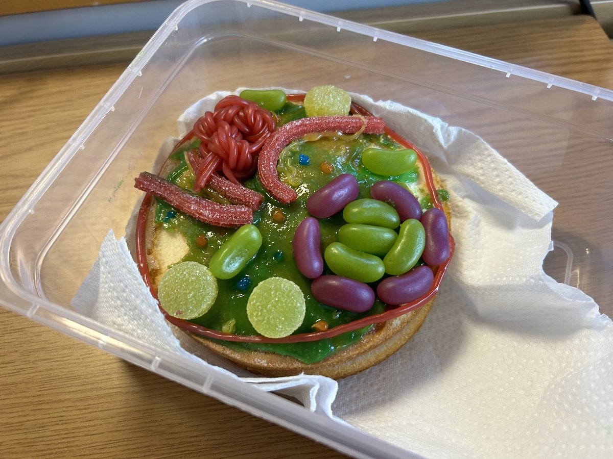 AlfordScience's tweet photo. 1E brought in Cell Models today. Some had made cells in minecraft. Some had made them from play dough, &amp; some had made them from cake. After going outside to measure the time for sound to travel 100m, the class enjoyed some of the baked goods. A end to Friday. https://t.co/5JzmbUr4Pc