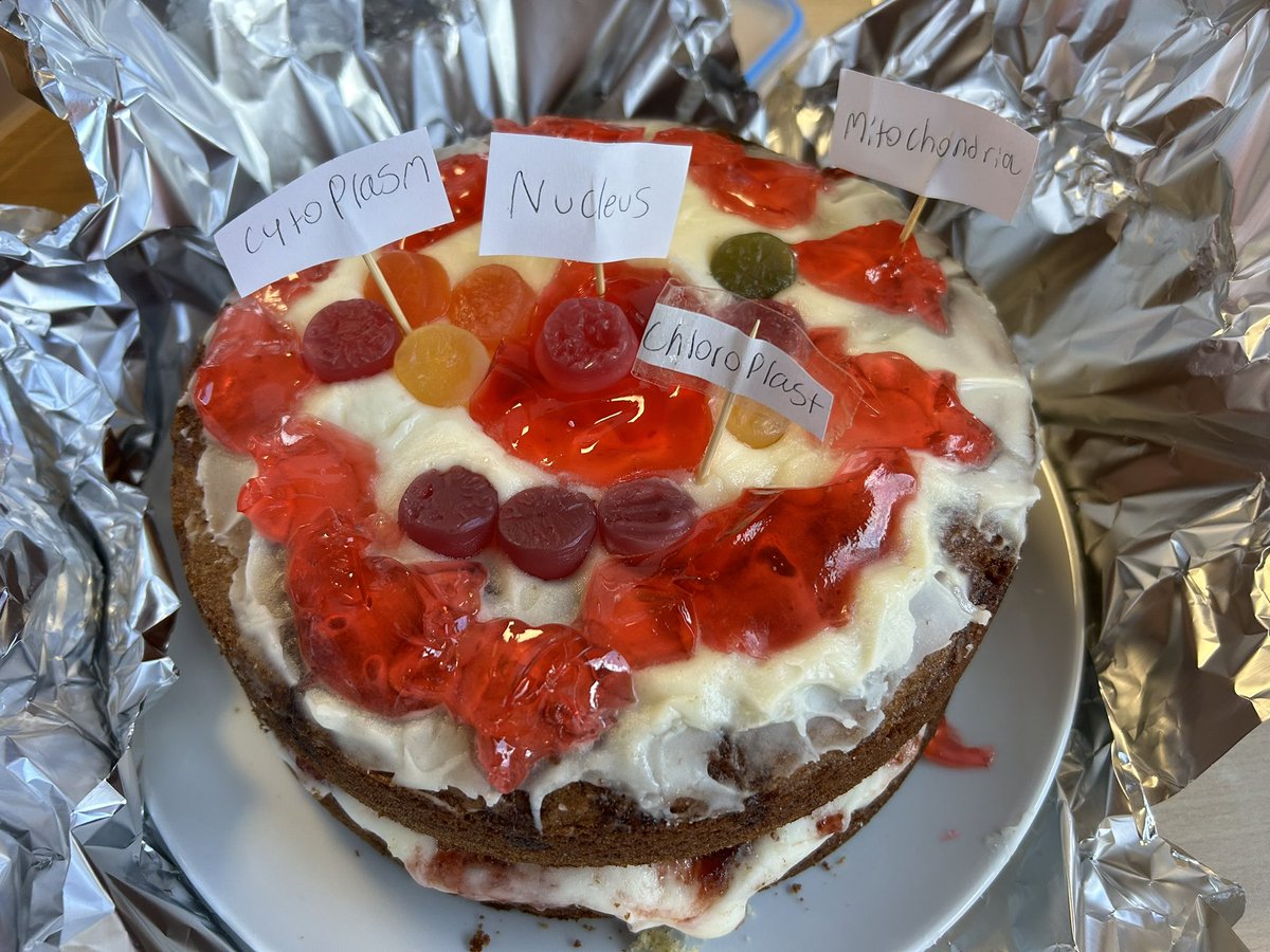 AlfordScience's tweet photo. 1E brought in Cell Models today. Some had made cells in minecraft. Some had made them from play dough, &amp; some had made them from cake. After going outside to measure the time for sound to travel 100m, the class enjoyed some of the baked goods. A end to Friday. https://t.co/5JzmbUr4Pc