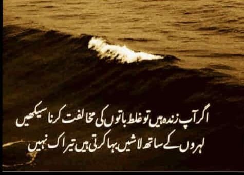 Muhammad Arif tweet media