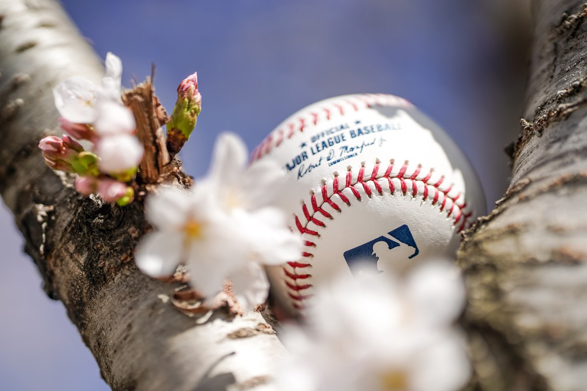 Nationals's tweet photo. bloom goes the dynamite 🌸⚾️ https://t.co/JkwUqfIwfg