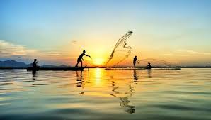 James Klein tweet media