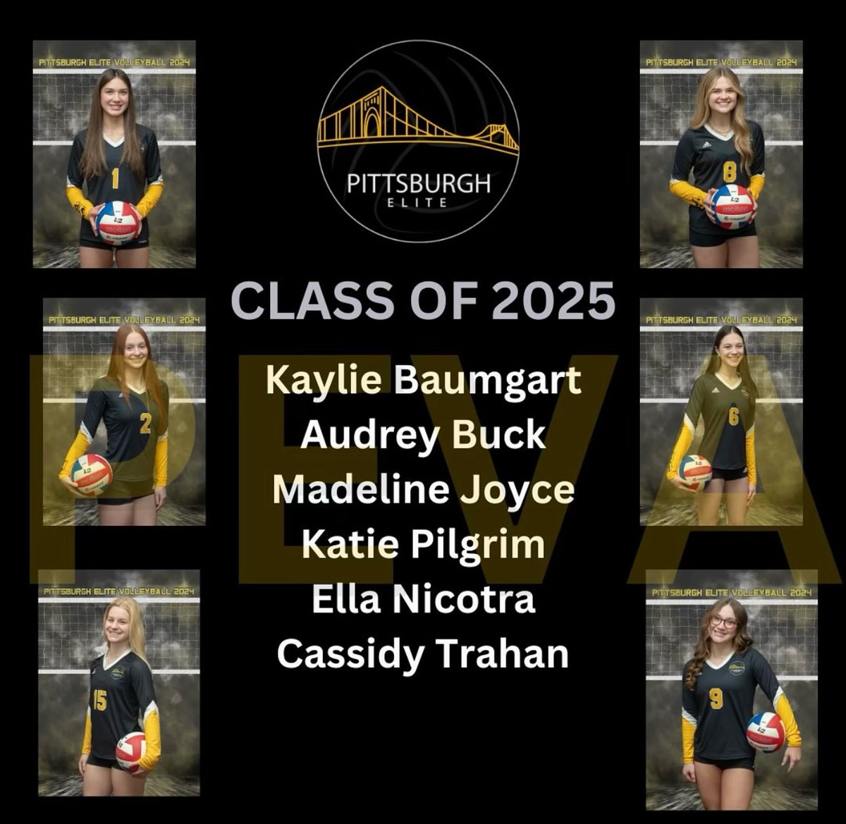 katiepilgrimVB's tweet photo. Thank you JVA for naming me to the 2024 Watch List. I am honored to be on the same list with some of my outstanding team mates. #PEVA #ALLIN #JVA https://t.co/K8r6Dpj7UX