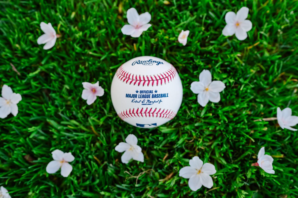Nationals's tweet photo. bloom goes the dynamite 🌸⚾️ https://t.co/JkwUqfIwfg