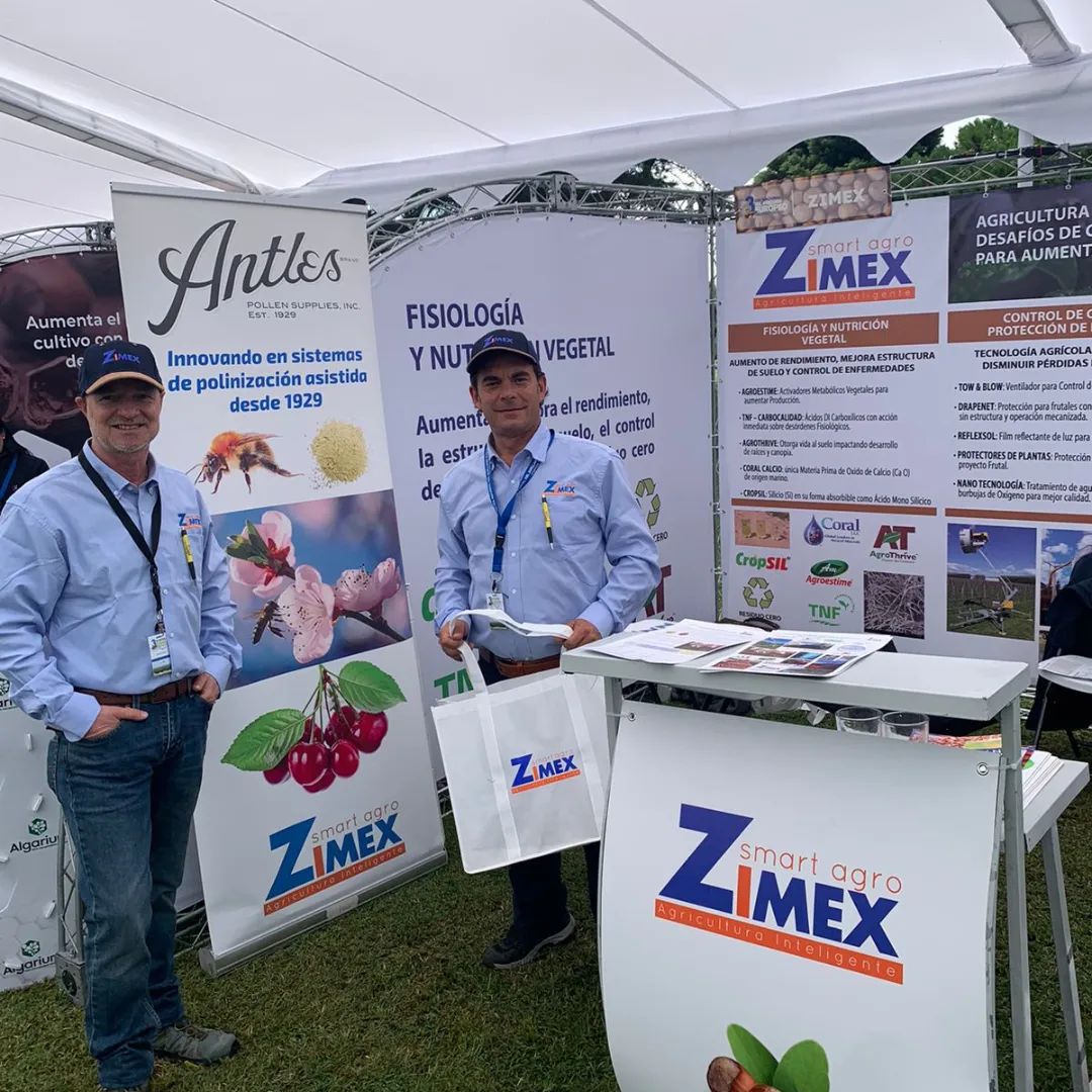 zimexchile's tweet photo. Zimex Smart Agro en 3 Día Nacional del Avellano Europeo.
Soluciones de Biotecnología Politización Asistida.

#PolinizacionAvellanosEuropeos #polinizacionasistida #Zimex #tercerdiaavellanoeuropeo #avellanoeuropeo

https://t.co/eQLN7uGCZh
https://t.co/AoF7K99aqn https://t.co/VOrP6nVuOg