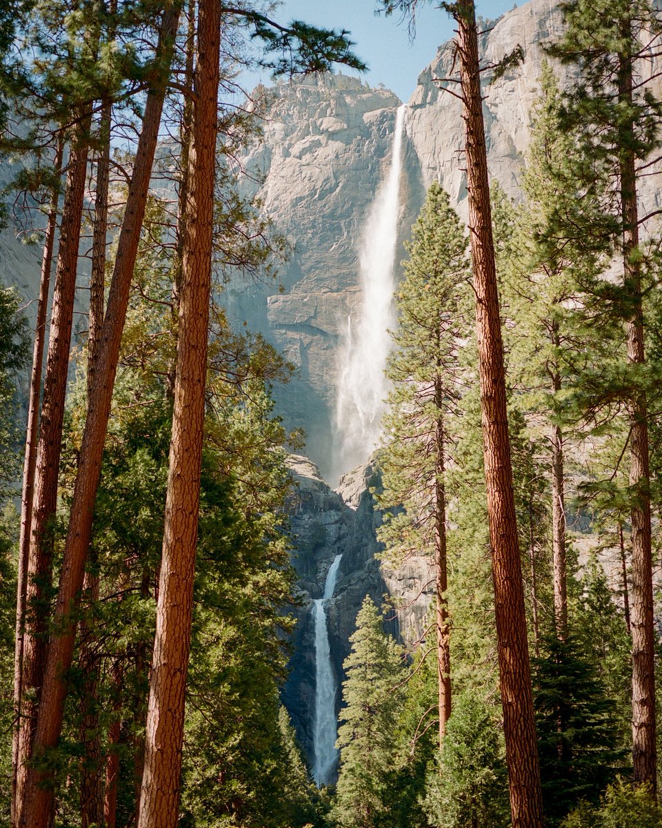jakob_lr's tweet photo. Yosemite on 120 film 🎞️ 

My last available piece on Foundation for .25 Eth https://t.co/rLYw0s0heP