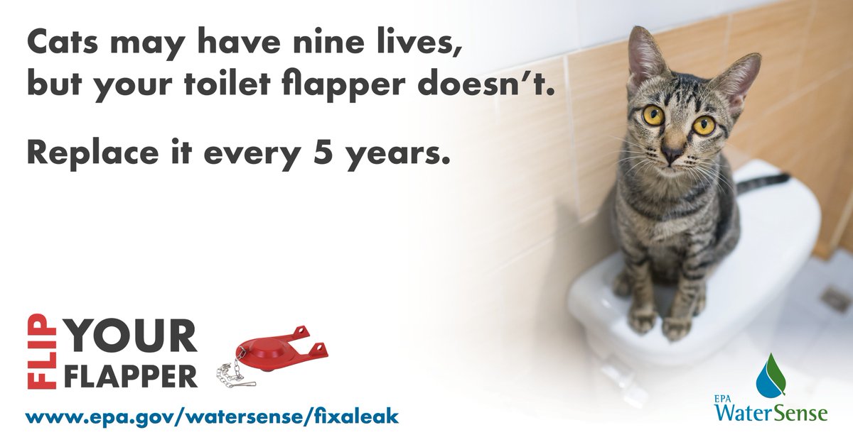 NARUC's tweet image. Calling all the cat lovers to #FlipYourFlapper! 🐱📢Your toilet flapper should be replaced at least every five years to ensure a good seal and avoid leaks. Enjoy #FixaLeakWeek to check if yours is up to date.💧  @EPAwatersense